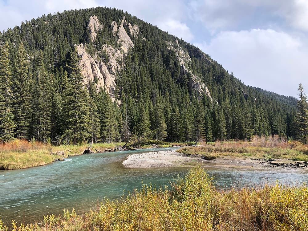 Ecological Health — More flow.
More fish.